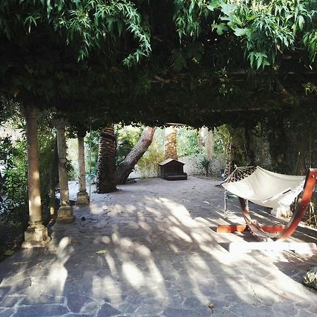 Cala Cavone Guest House Ponza Exterior photo